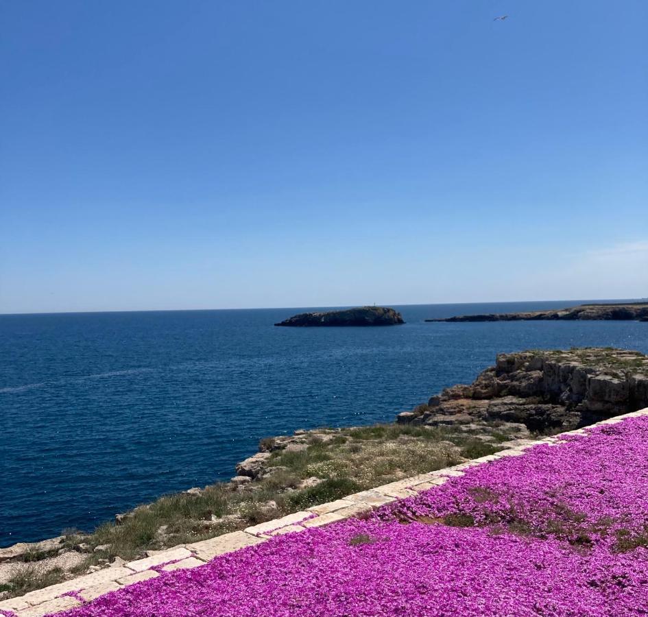 Essence Appartament Polignano a Mare Dış mekan fotoğraf